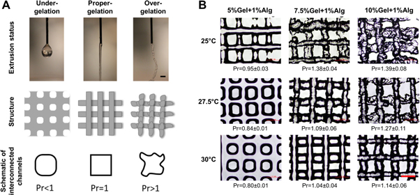 Assessment methodologies for extrusion-based bioink printability ...