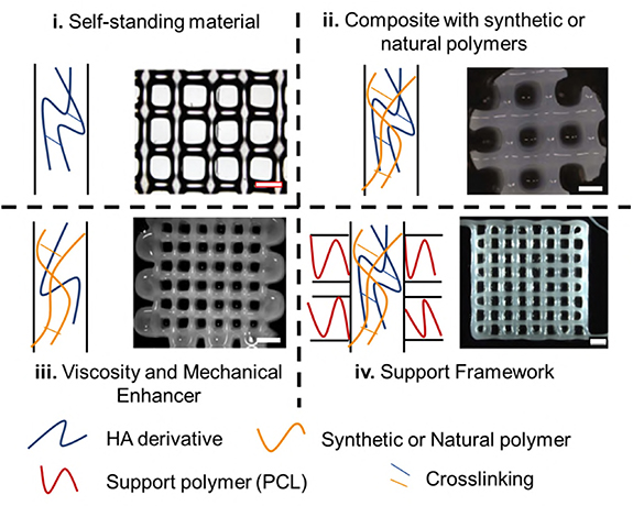 Hyaluronic acid as a bioink for extrusion-based 3D printing - IOPscience