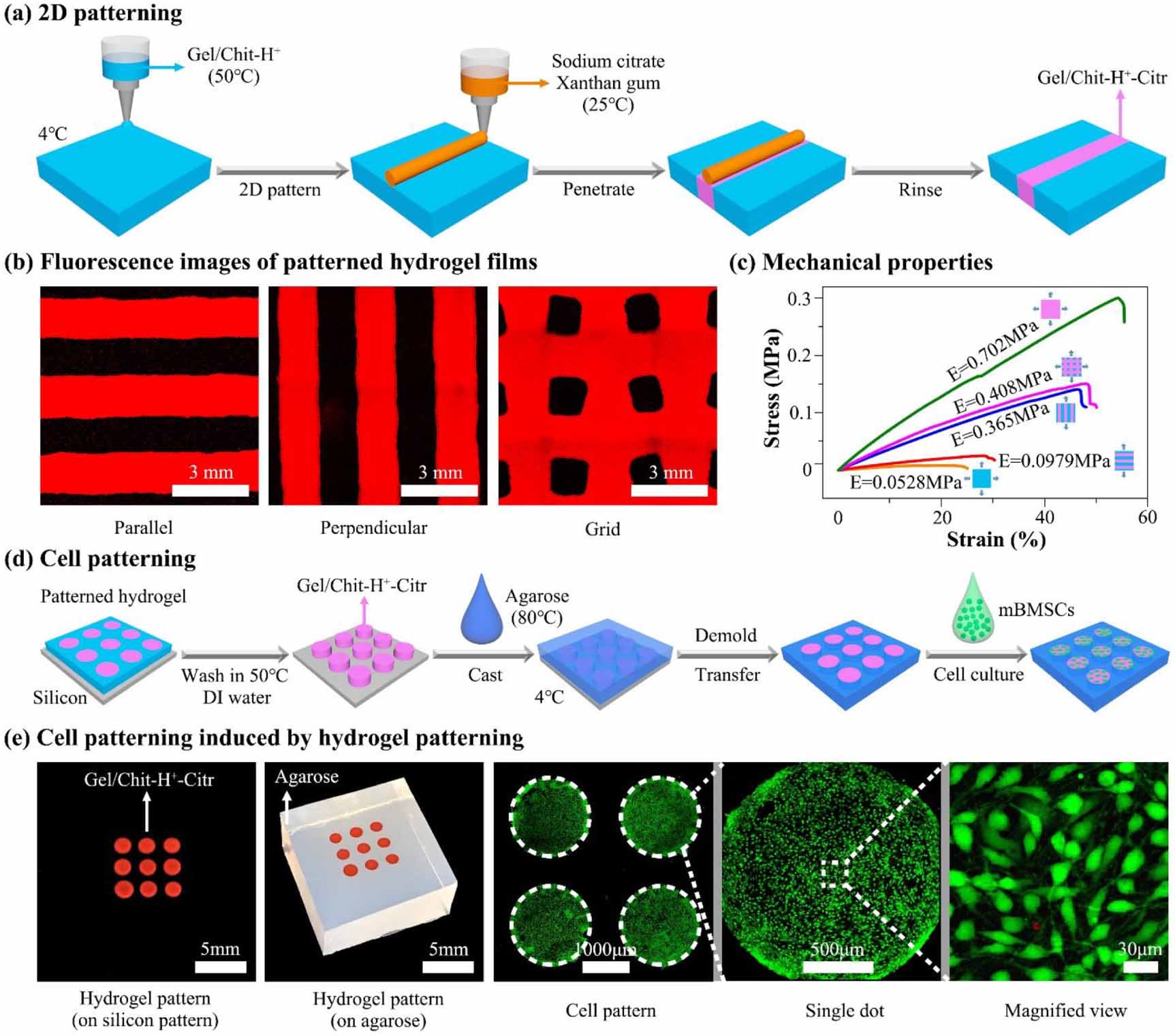 Hierarchical patterning via dynamic sacrificial printing of stimuli ...