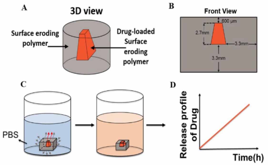 Scalable microfabrication of drug-loaded core–shell tablets from a ...