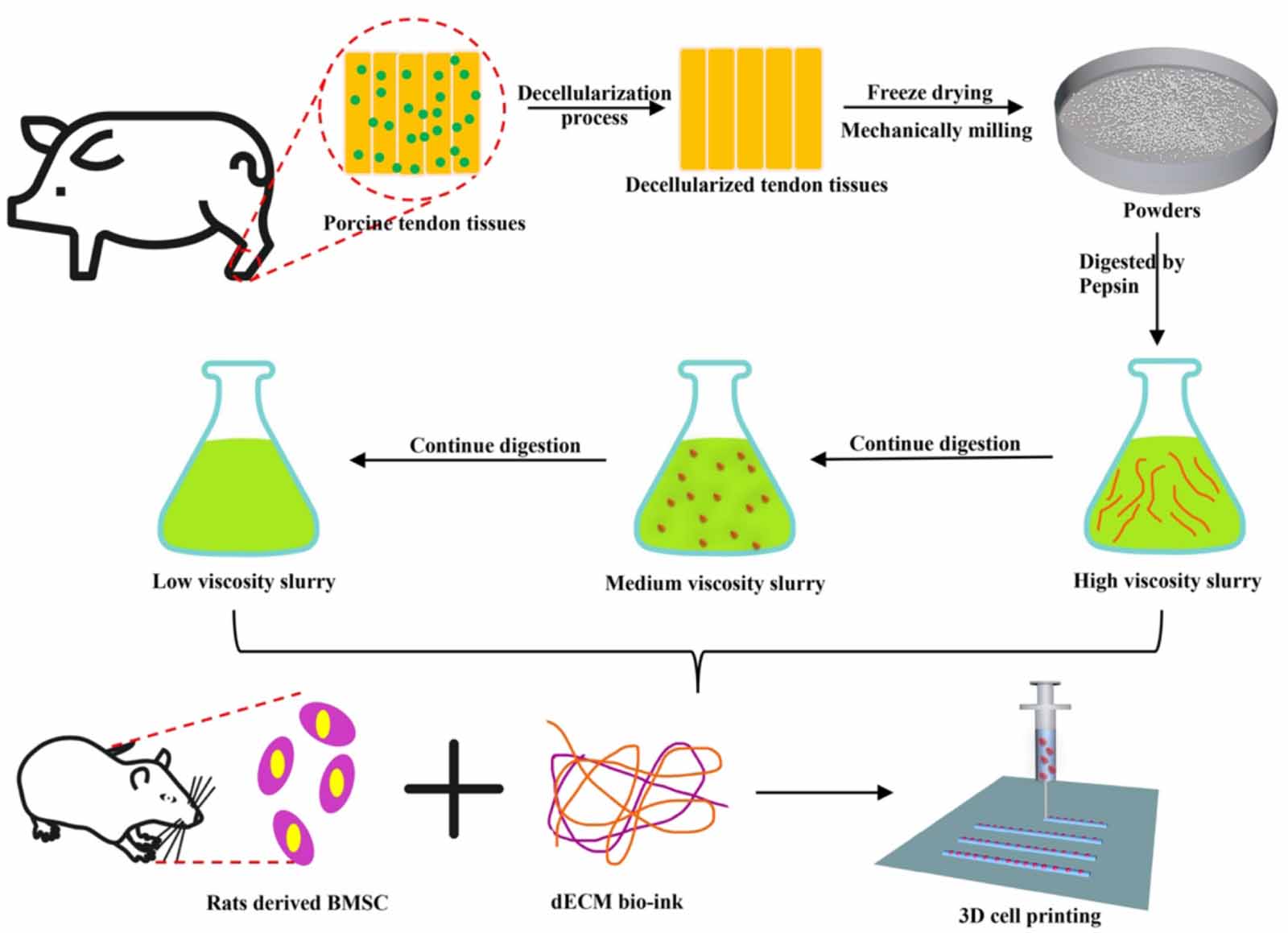 Digestion degree is a key factor to regulate the printability of pure ...