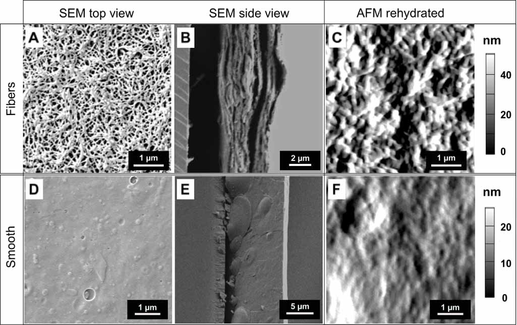 Spatial patterning of nanofibrous collagen scaffolds modulates ...