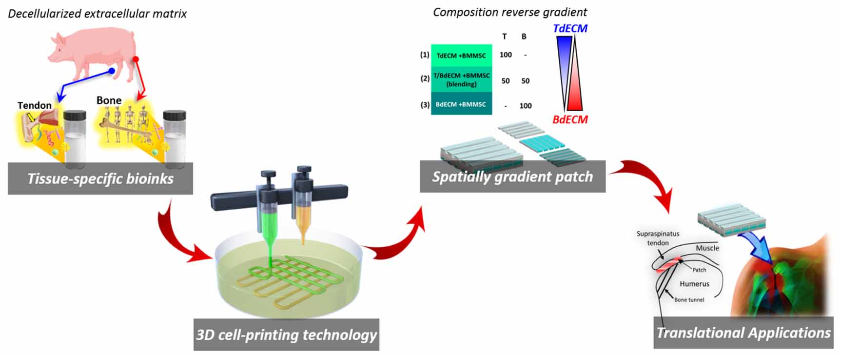 洋書 Cell and Organ Printing 洋書 Cell and Organ Printing 3d-printed-organ-on-a-chip-