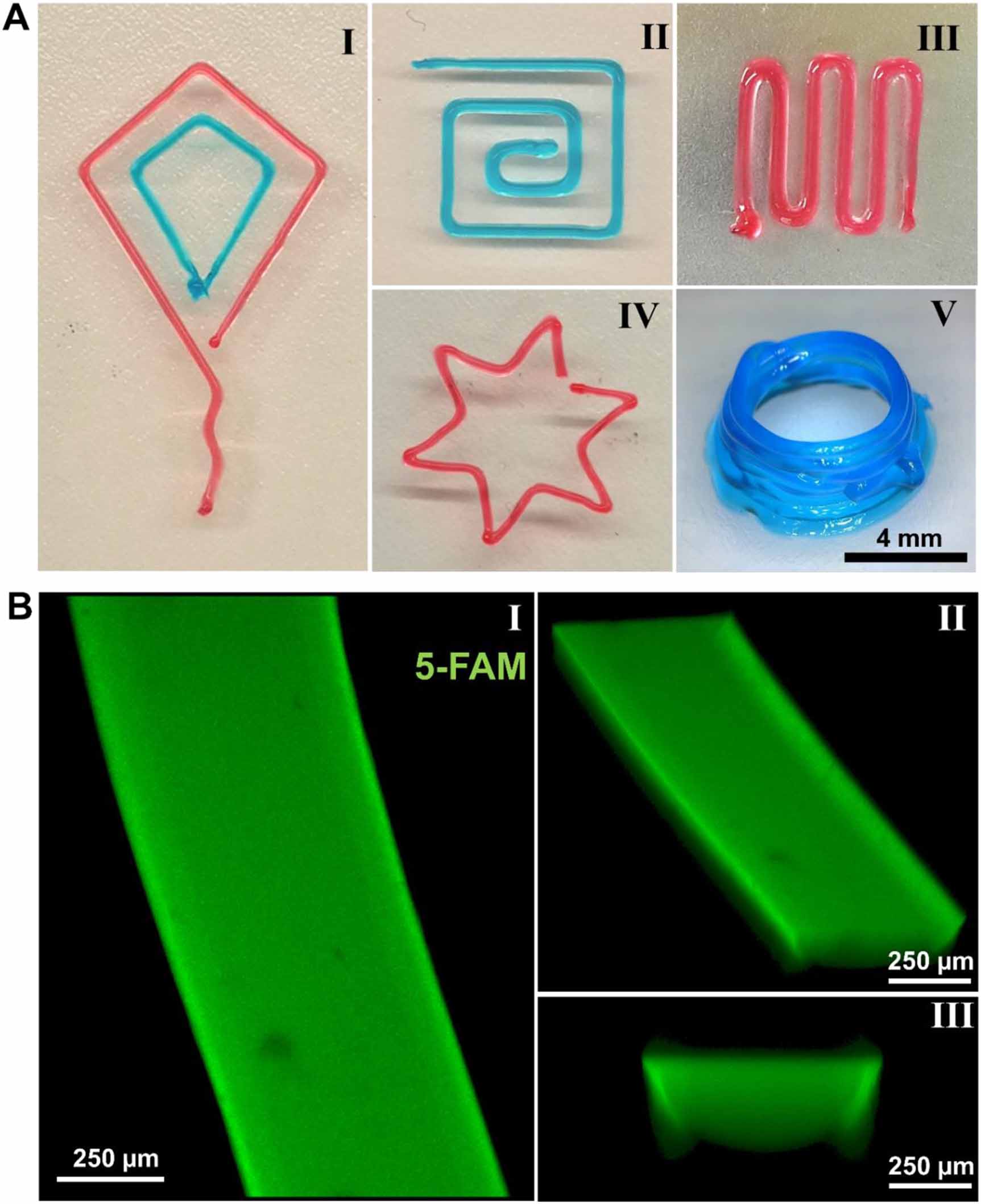 3D bioprinting of molecularly engineered PEG-based hydrogels utilizing ...