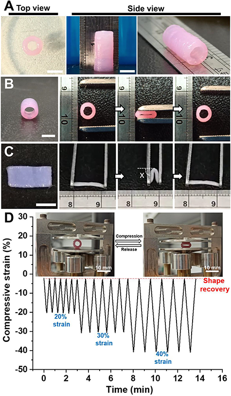 4D bioprintable self-healing hydrogel with shape memory and ...