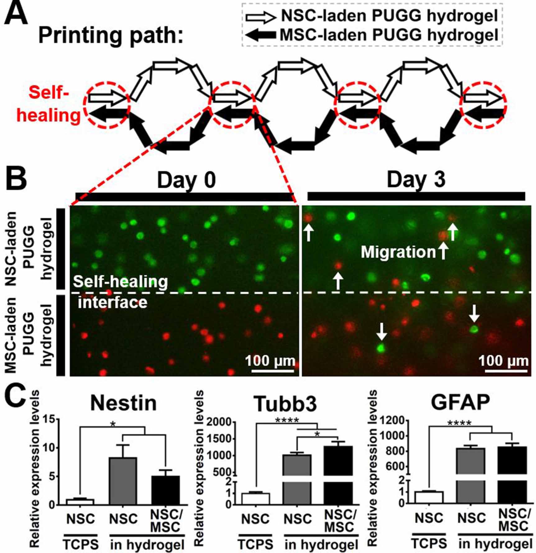 4D bioprintable self-healing hydrogel with shape memory and ...