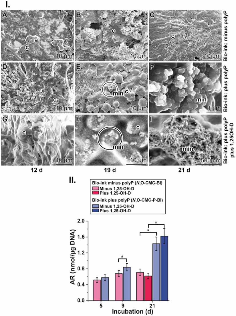3D bioprinting of tissue units with mesenchymal stem cells, retaining ...