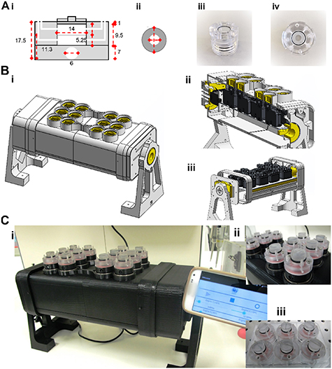 Numerical and experimental simulation of a dynamic-rotational 3D cell ...
