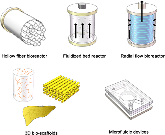 Bionic Liver Bioartificial livers: a review of their design and manufacture - IOPscience
