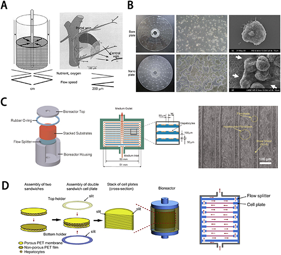Bionic Liver Bioartificial livers: a review of their design and manufacture - IOPscience