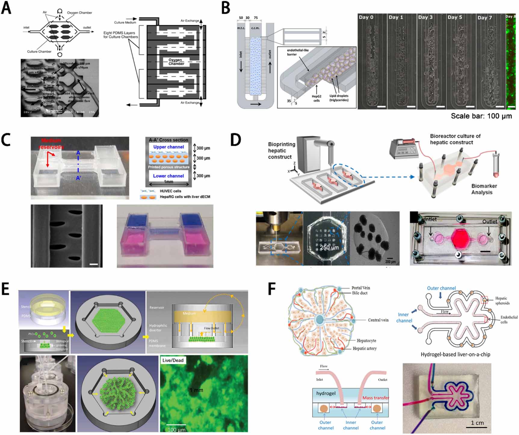 Bionic Liver Bioartificial livers: a review of their design and manufacture - IOPscience