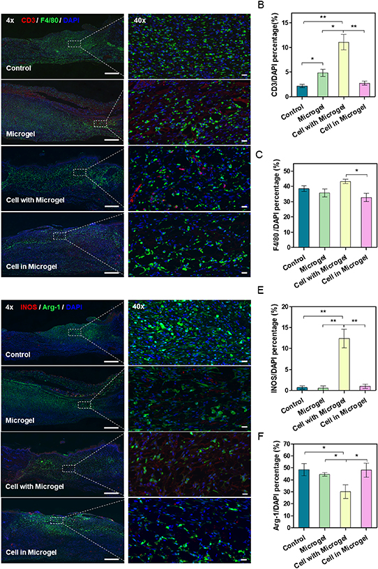 Large-scale single-cell encapsulation in microgels through metastable ...