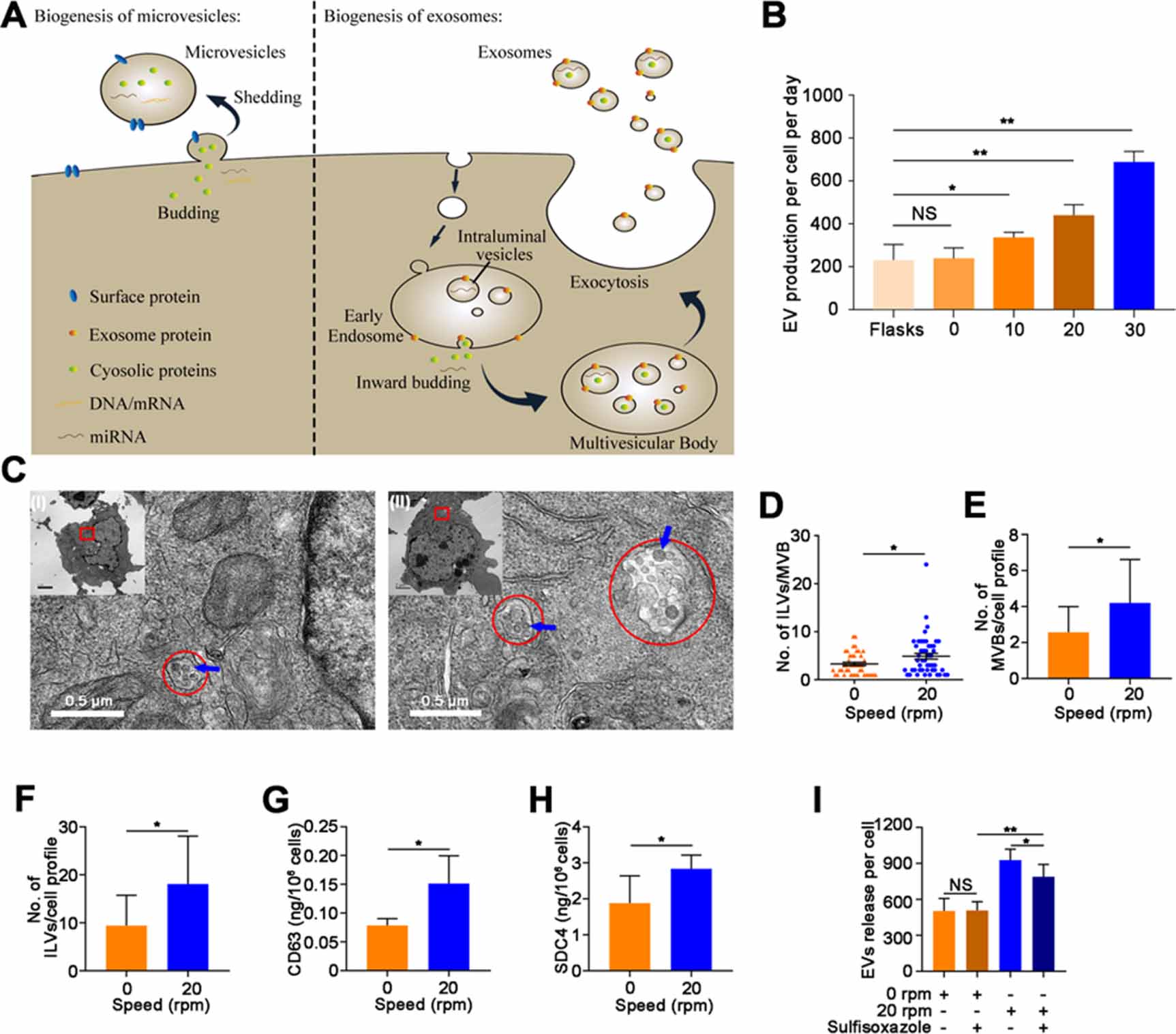 Scale-out production of extracellular vesicles derived from natural ...