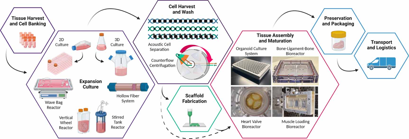Tissue Integrated Sensor Sensor technologies for quality control in engineered tissue ...