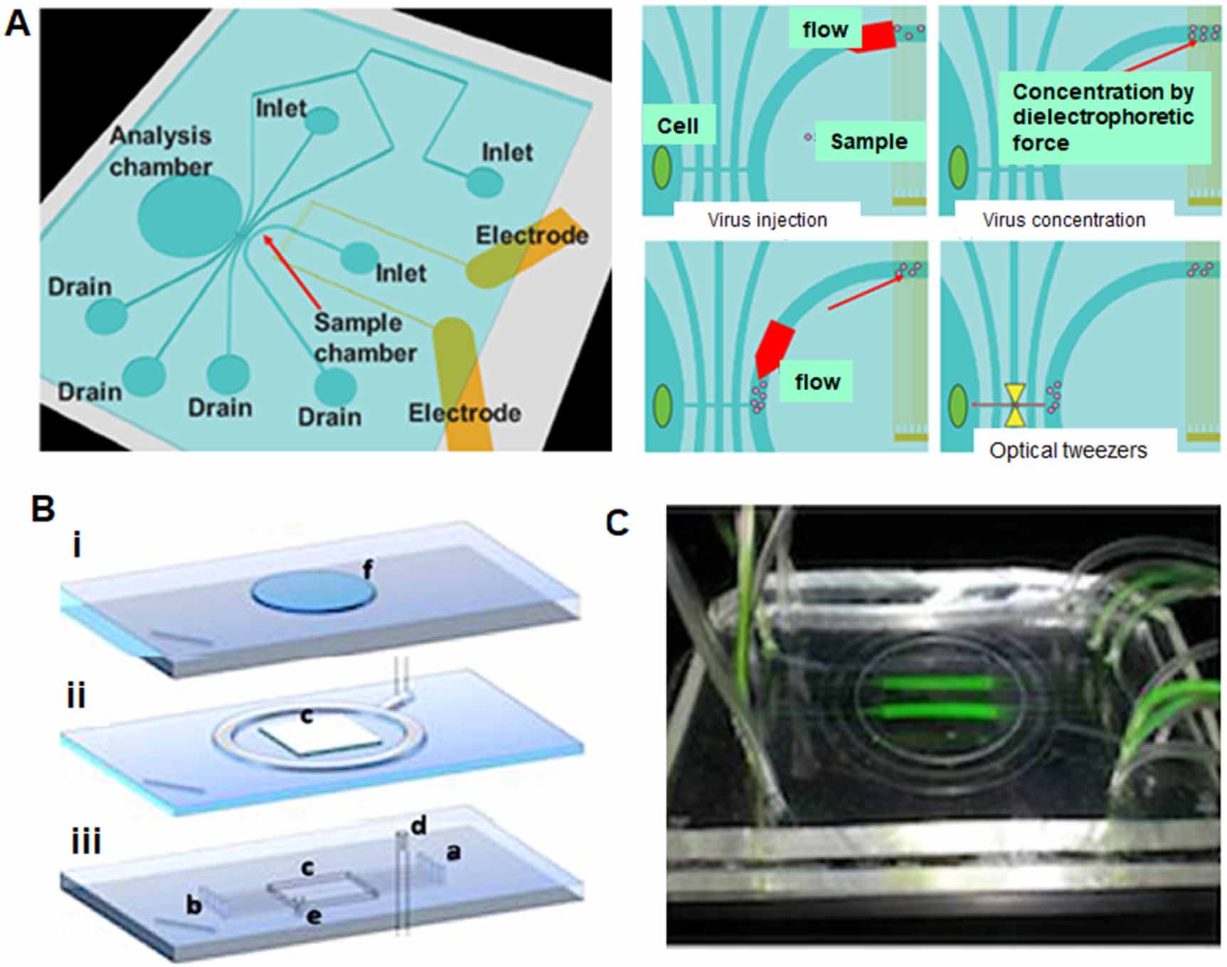 Open System Cell Processing Engineering organ-on-a-chip systems to model viral infections - IOPscience