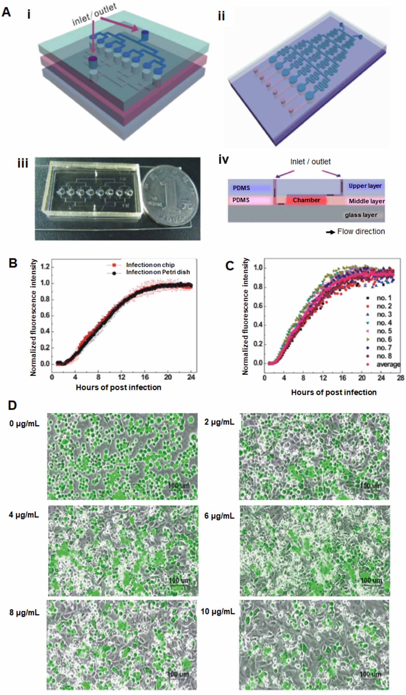 Engineering organ-on-a-chip systems to model viral infections - IOPscience
