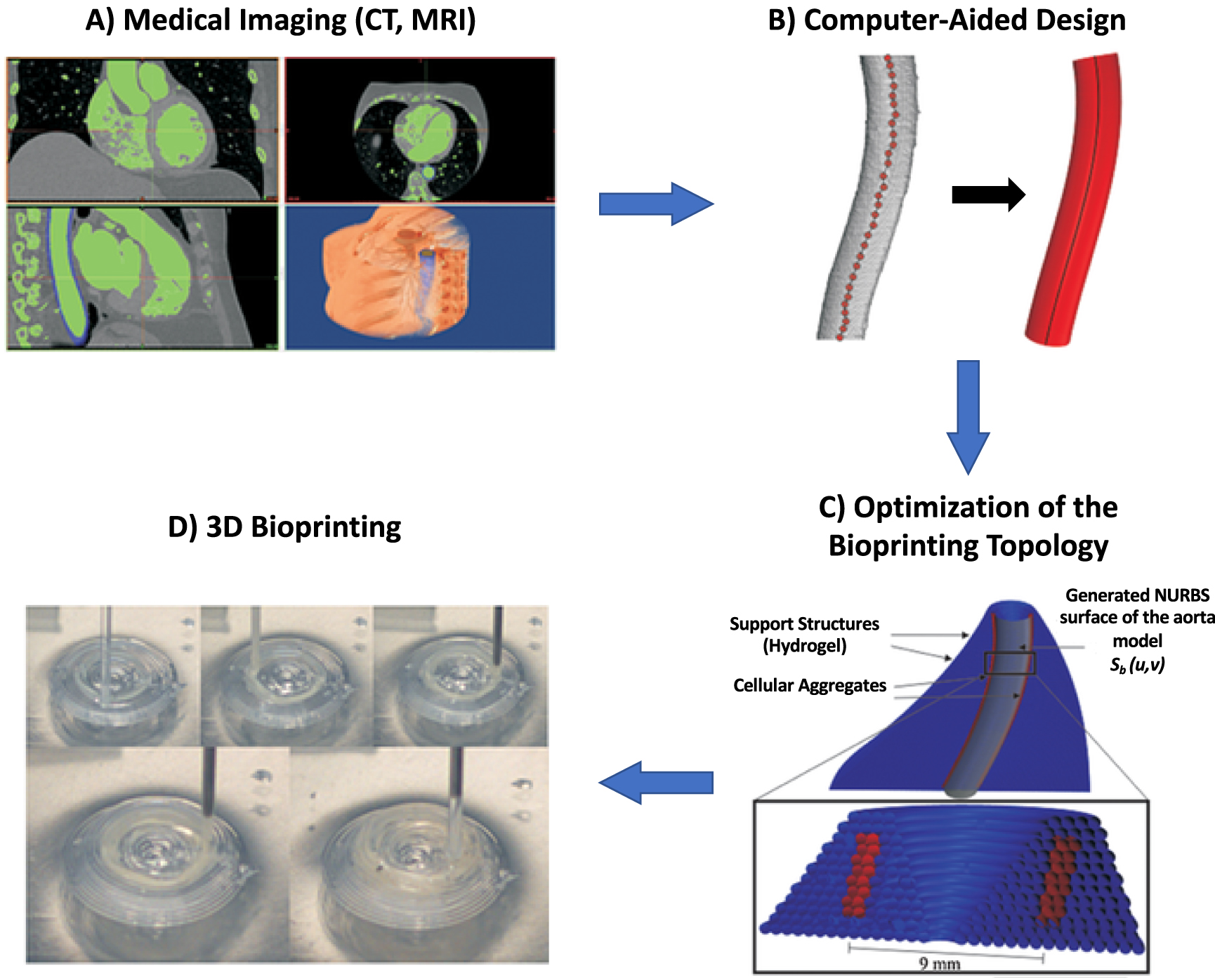 Current biofabrication methods for vascular tissue engineering and an ...