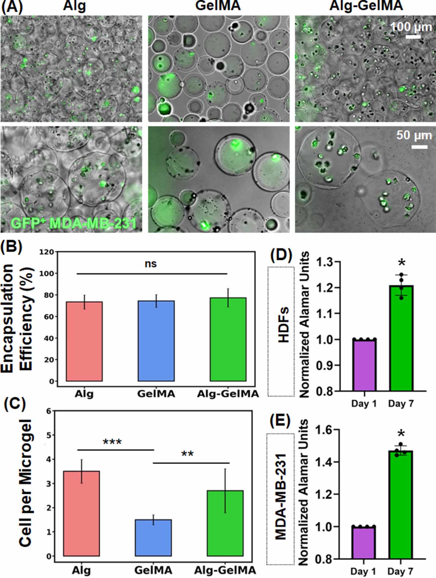 High-throughput microgel biofabrication via air-assisted co-axial ...