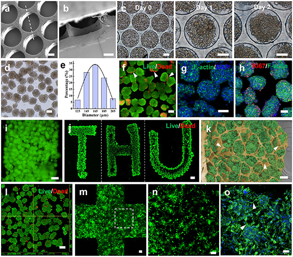3D printing of vascularized hepatic tissues with a high cell density ...