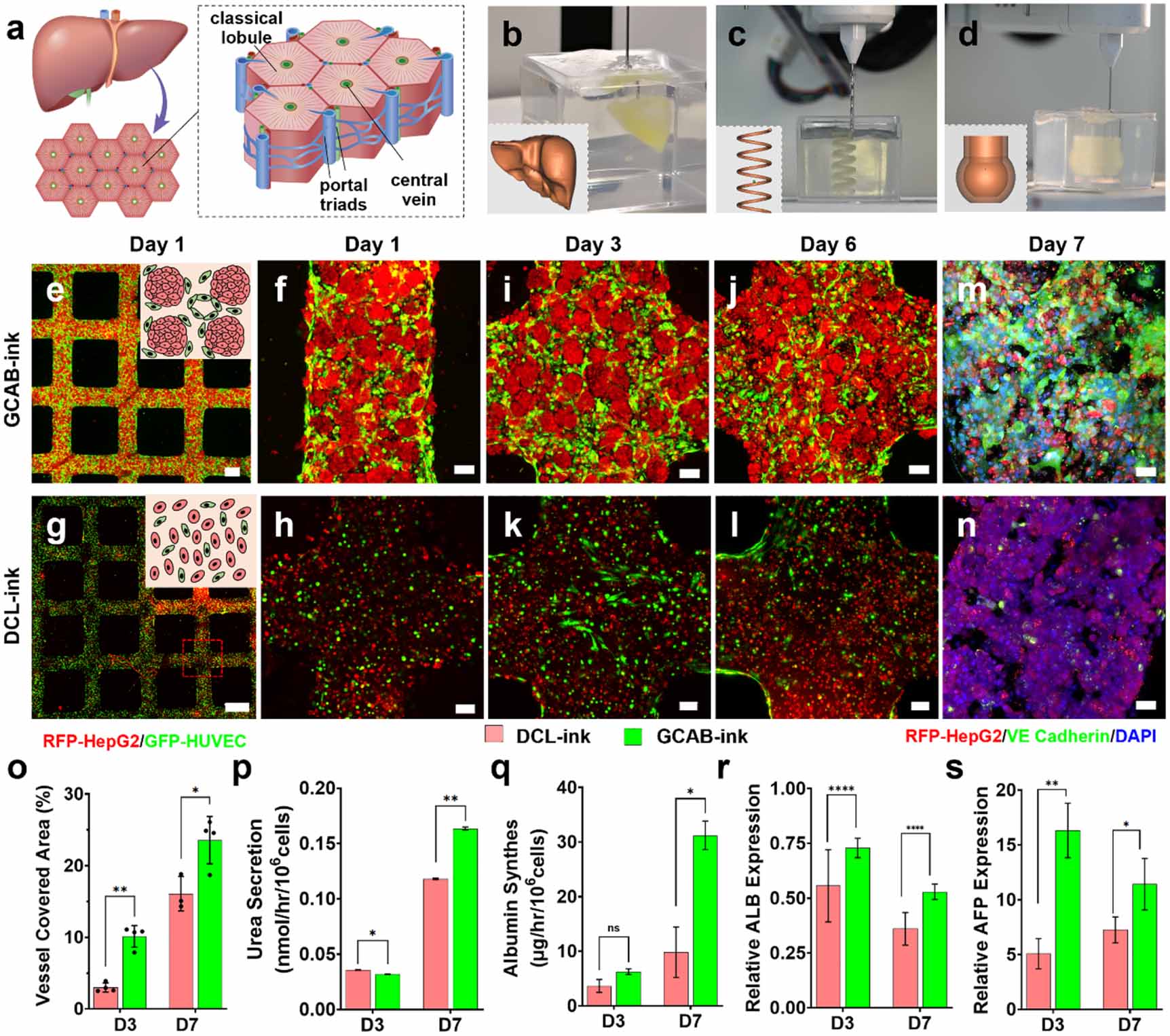 3D printing of vascularized hepatic tissues with a high cell density ...
