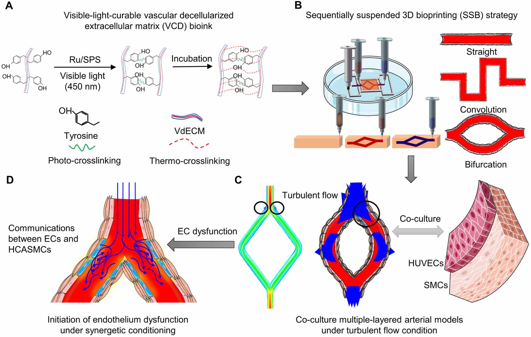 Sequentially suspended 3D bioprinting of multiple-layered vascular ...
