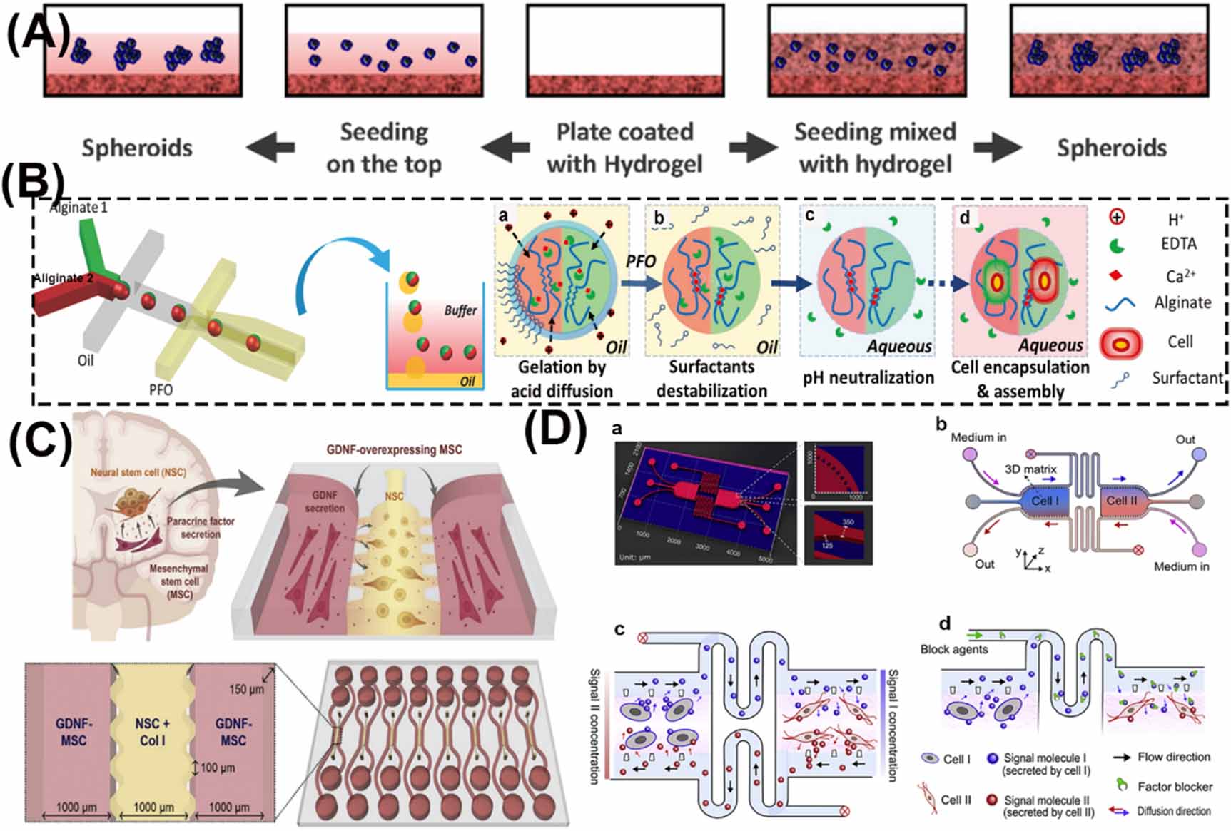 Microfluidic-based platforms for cell-to-cell communication studies ...