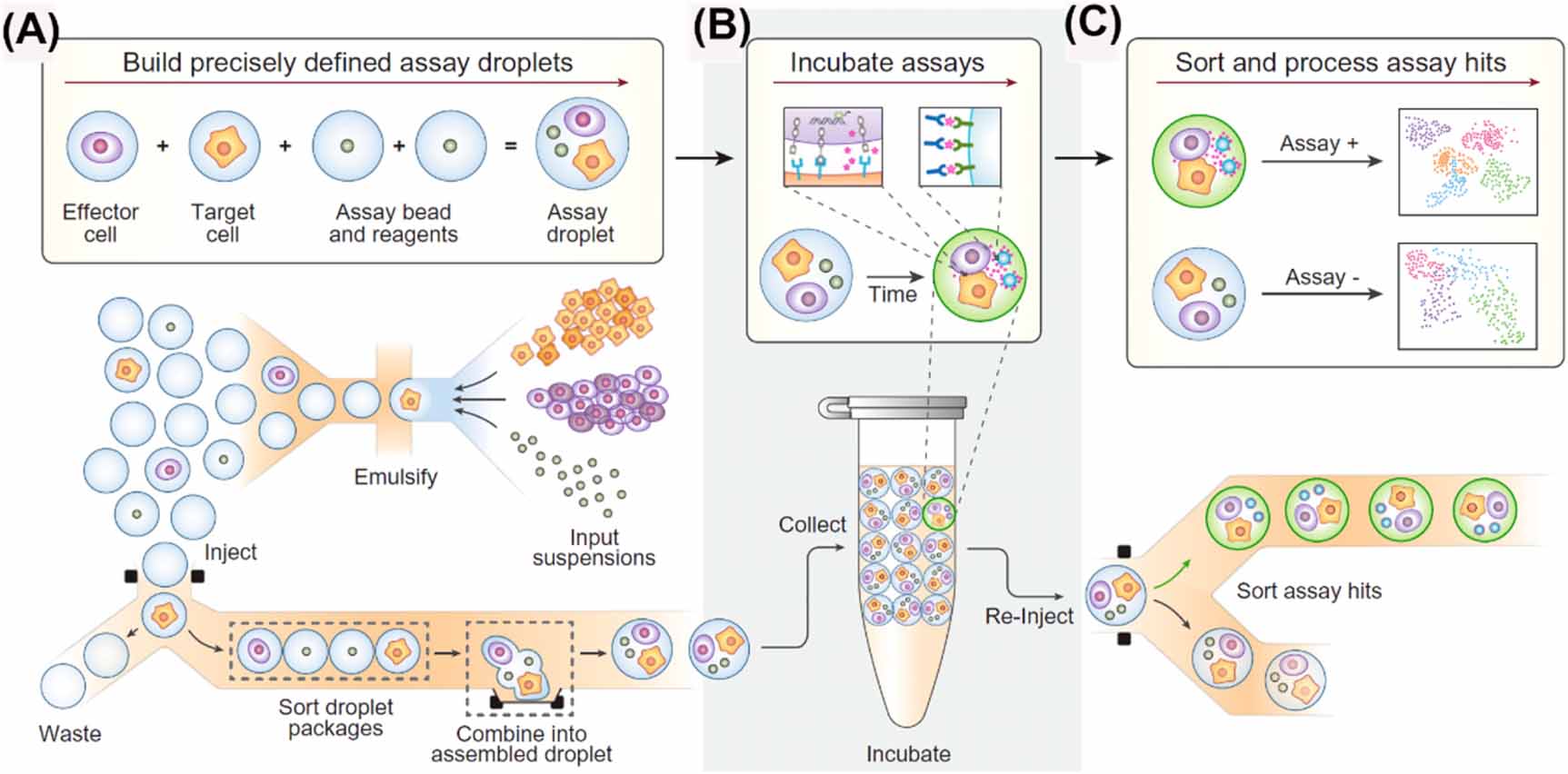 Microfluidic-based platforms for cell-to-cell communication studies ...