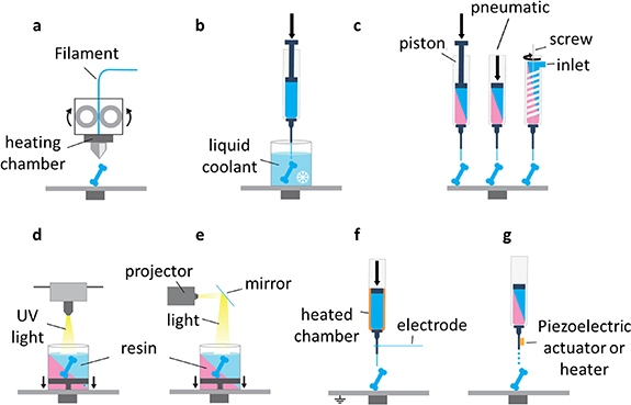Changing Shape Process 4D printed shape-shifting biomaterials for tissue engineering and ...