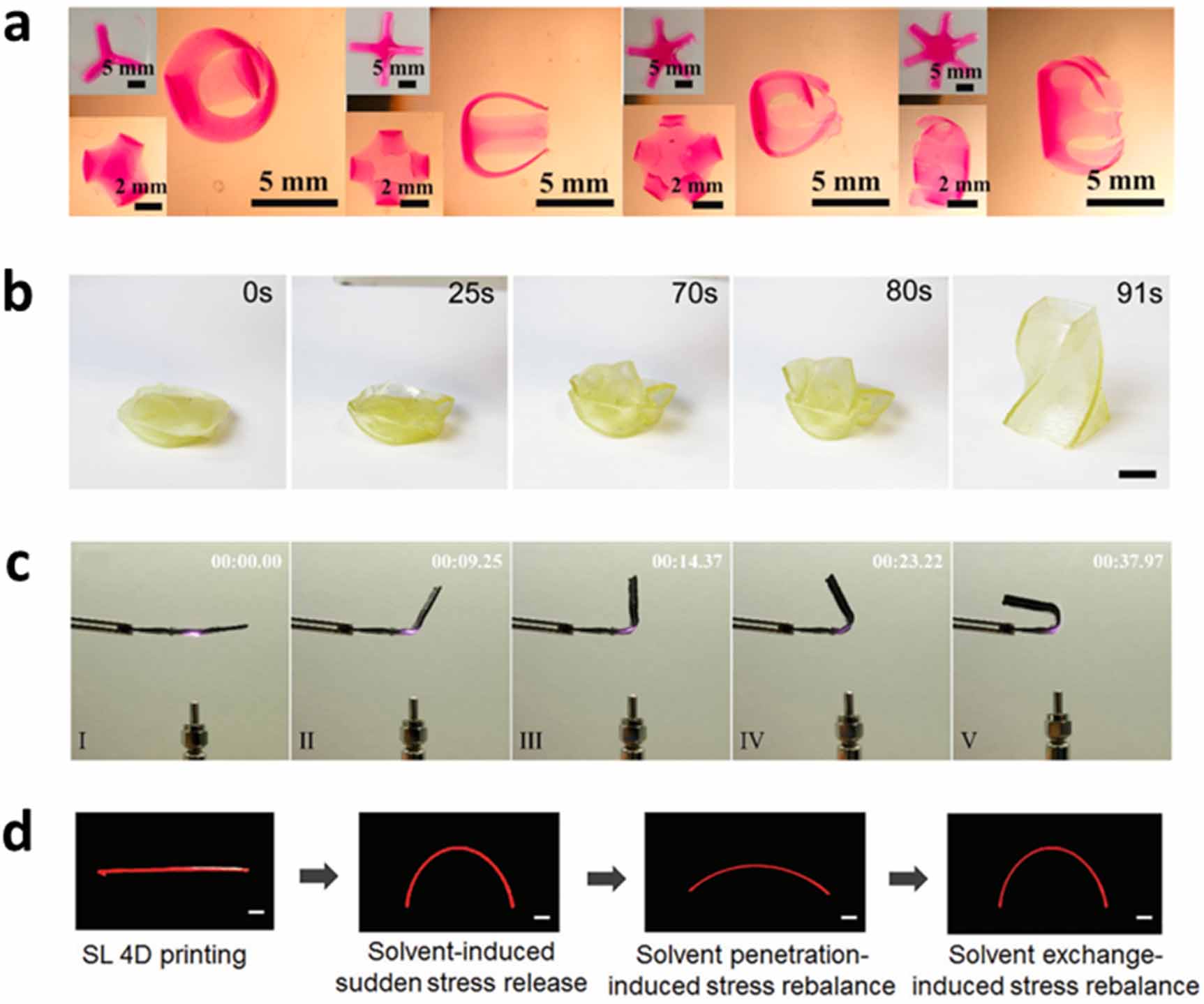 4D printed shape-shifting biomaterials for tissue engineering and ...