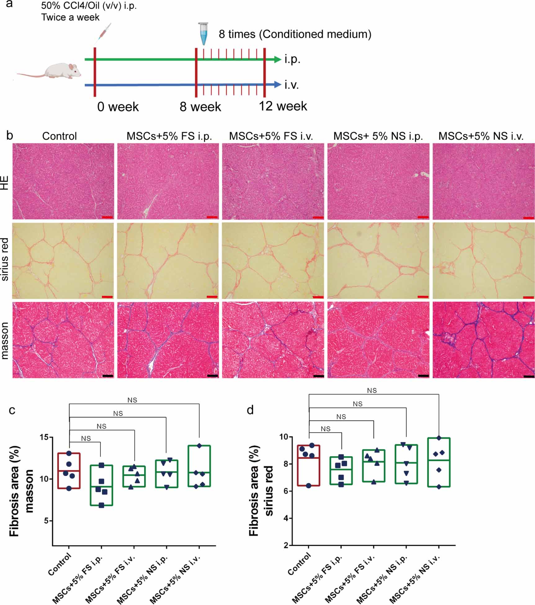 Bioreactor-based stem cell therapy for liver fibrosis - IOPscience