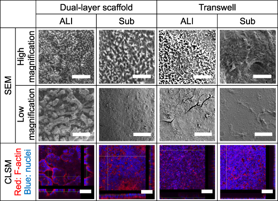 Figure 5. Refer to the following caption and surrounding text.