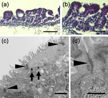 Figure 6. Refer to the following caption and surrounding text.