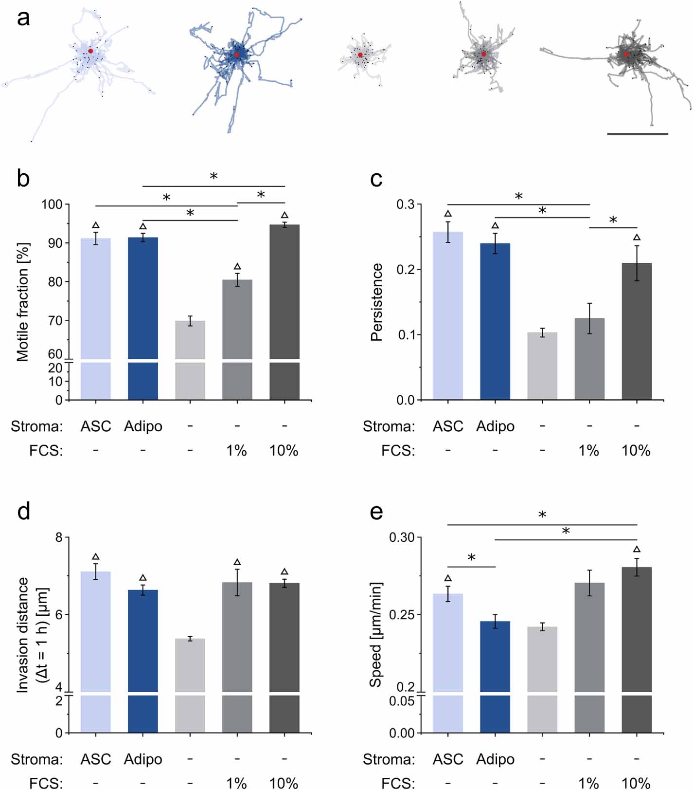 Cancer cell migration depends on adjacent ASC and adipose spheroids in ...
