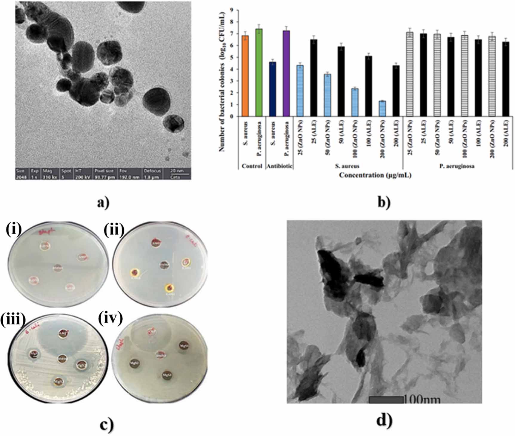 Exploring bio-nanomaterials as antibiotic allies to combat ...