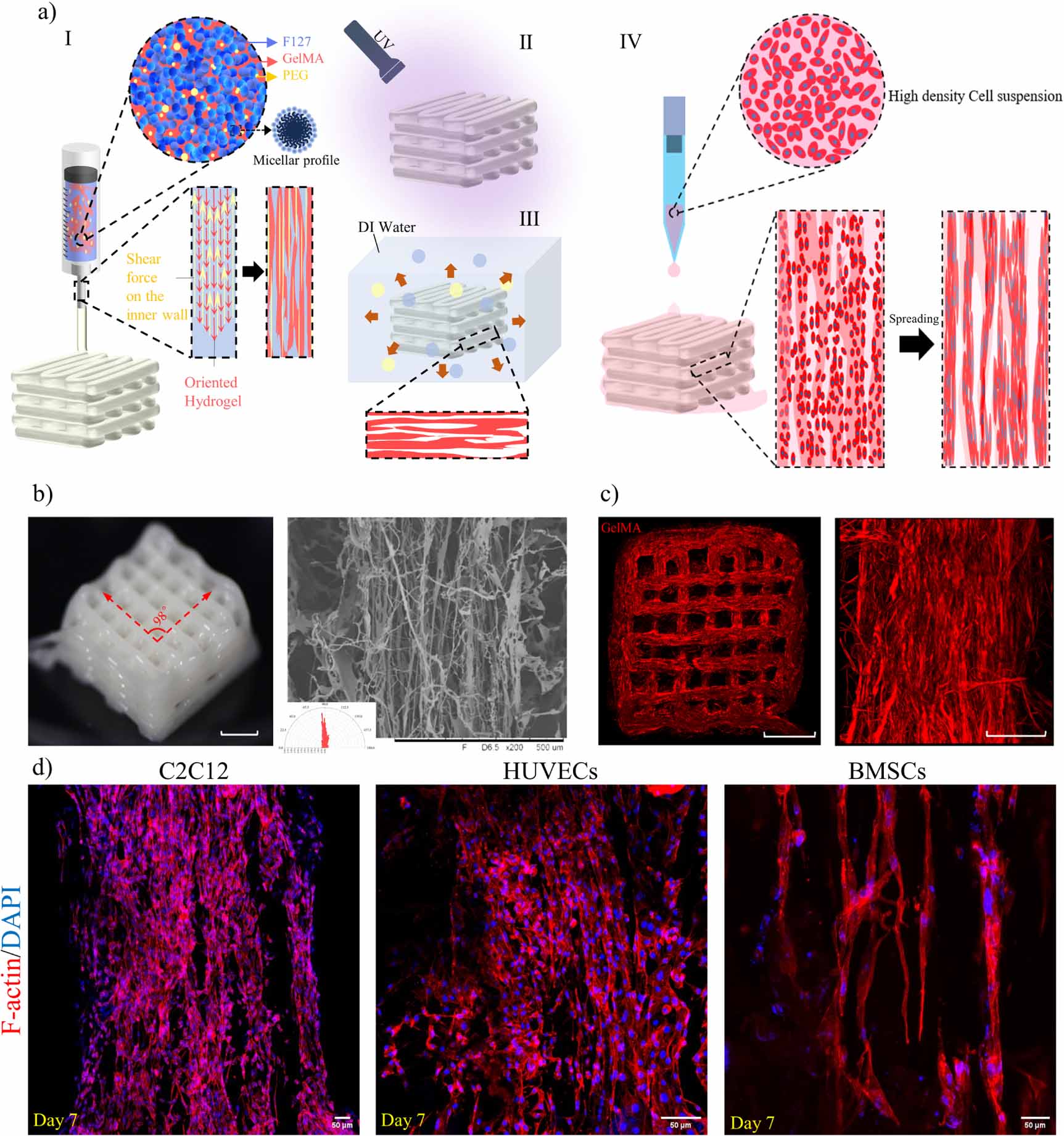 Direct 3D printing of freeform anisotropic bioactive structure based on ...