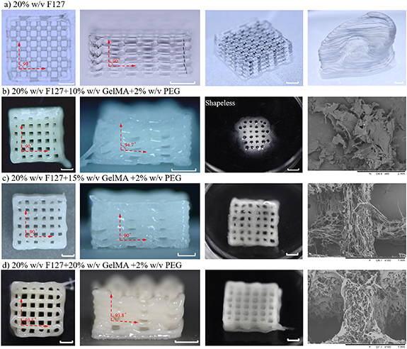 Direct 3D printing of freeform anisotropic bioactive structure based on ...