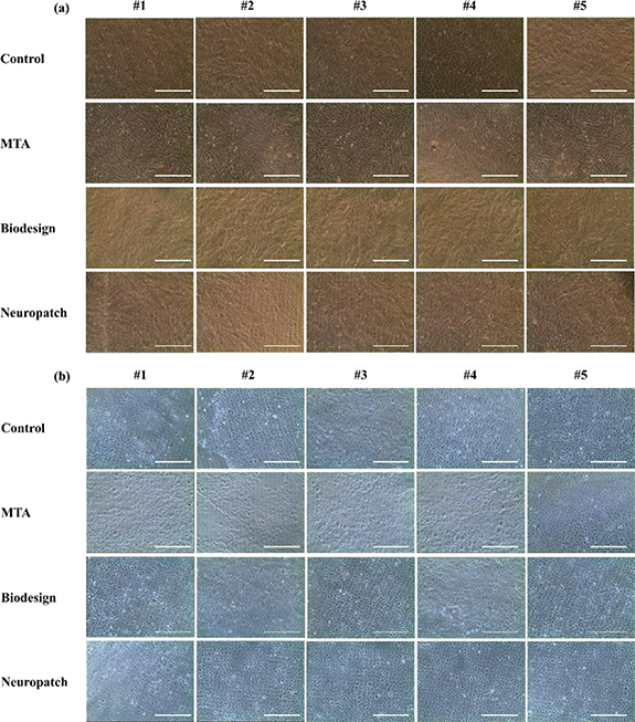 Implementing microfluidic flow device model in utilizing dural
