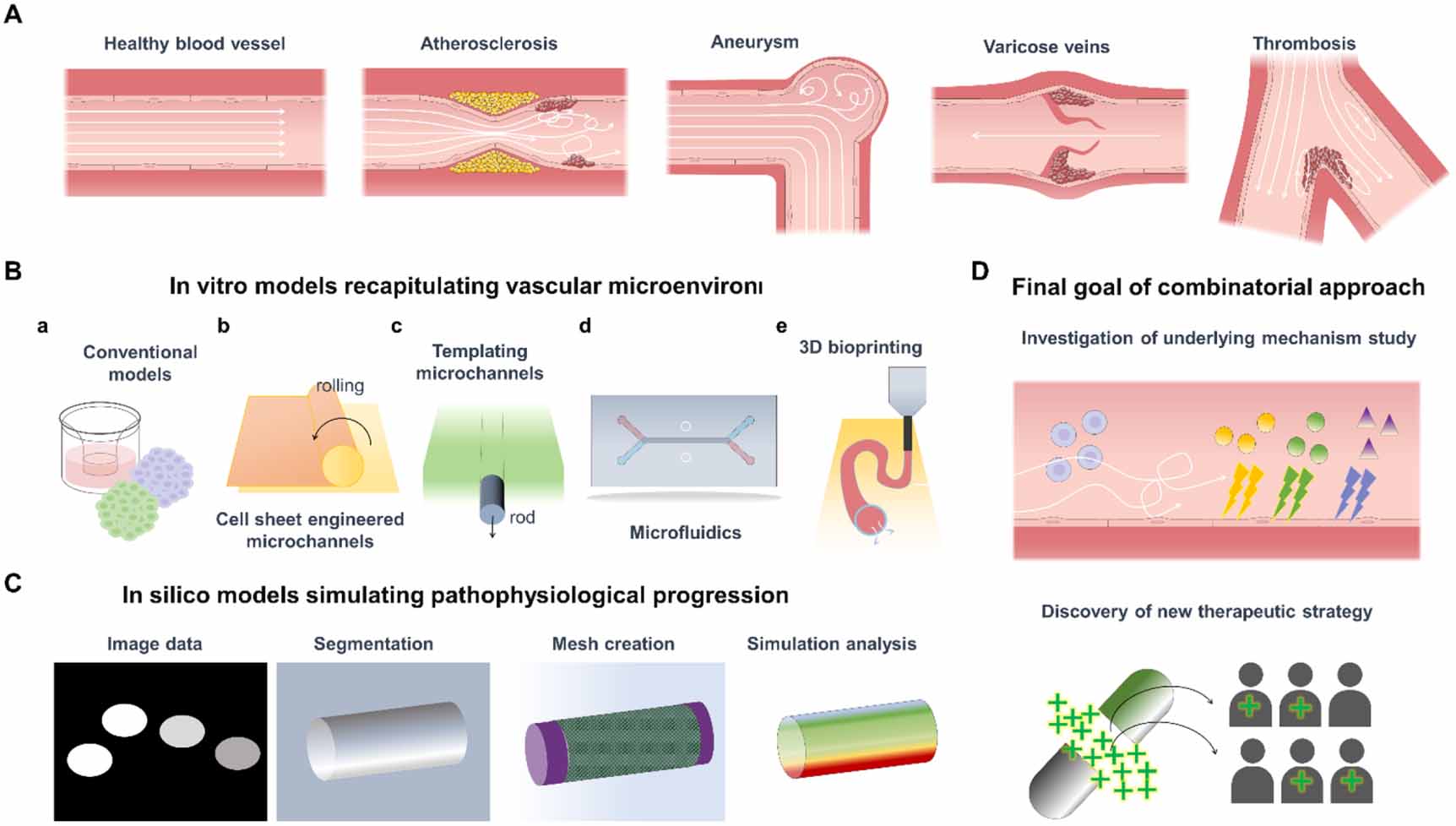 3D engineering of diseased blood vessels for integrative in vitro–in ...