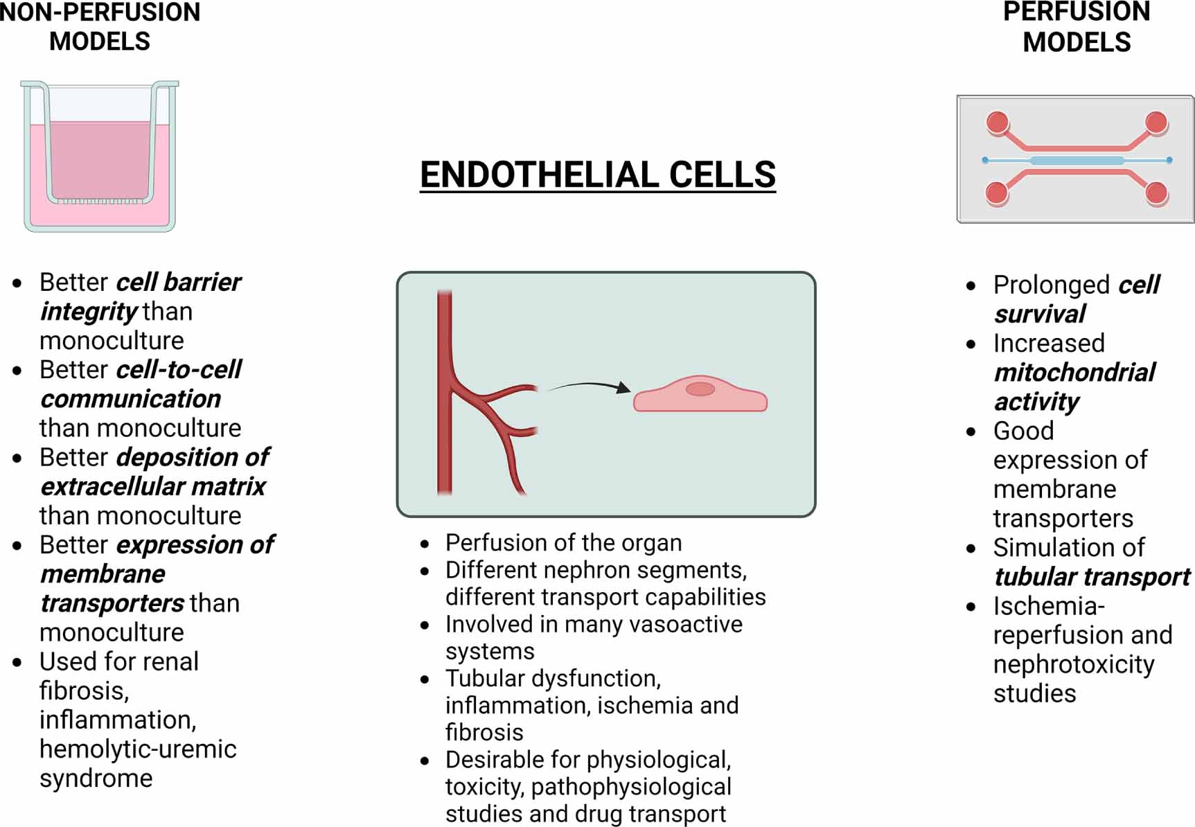 Narrative review of proximal tubular epithelial cell in-vitro co ...