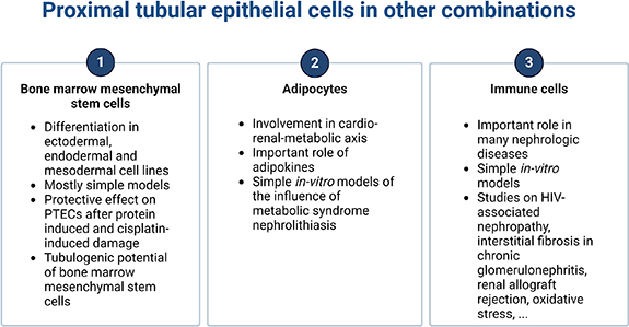 Narrative review of proximal tubular epithelial cell in-vitro co ...