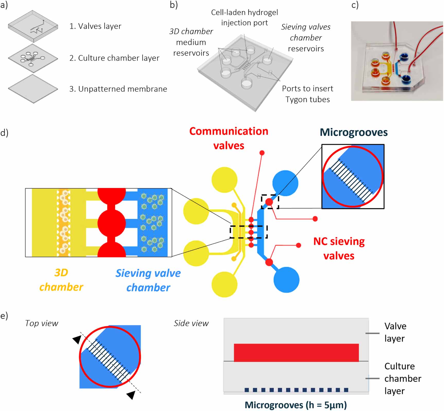 A compartmentalized microfluidic platform to investigate immune cells ...