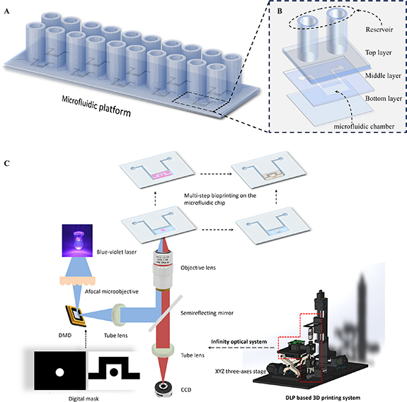 A digital manufactured microfluidic platform for flexible construction ...