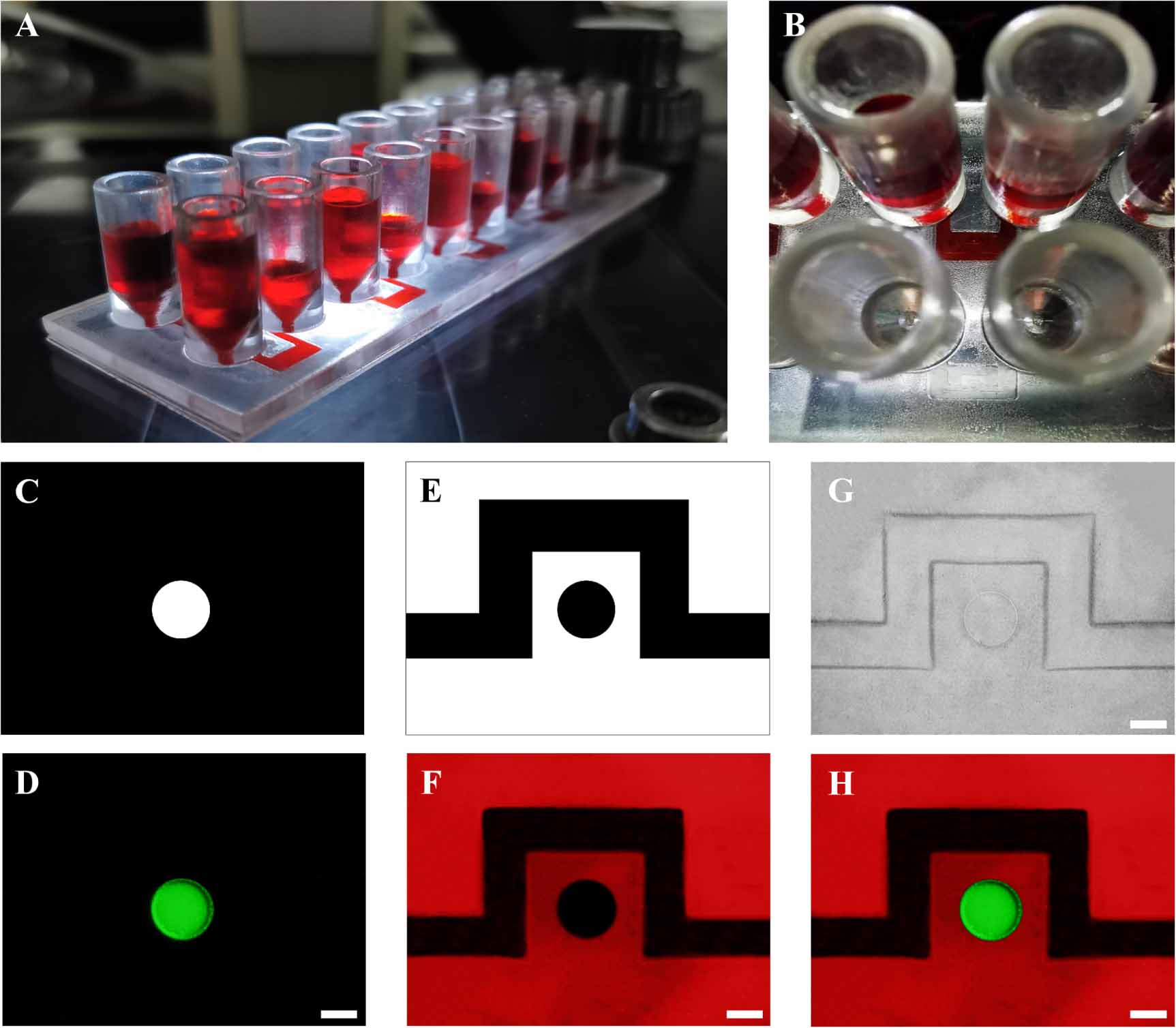 A digital manufactured microfluidic platform for flexible construction ...