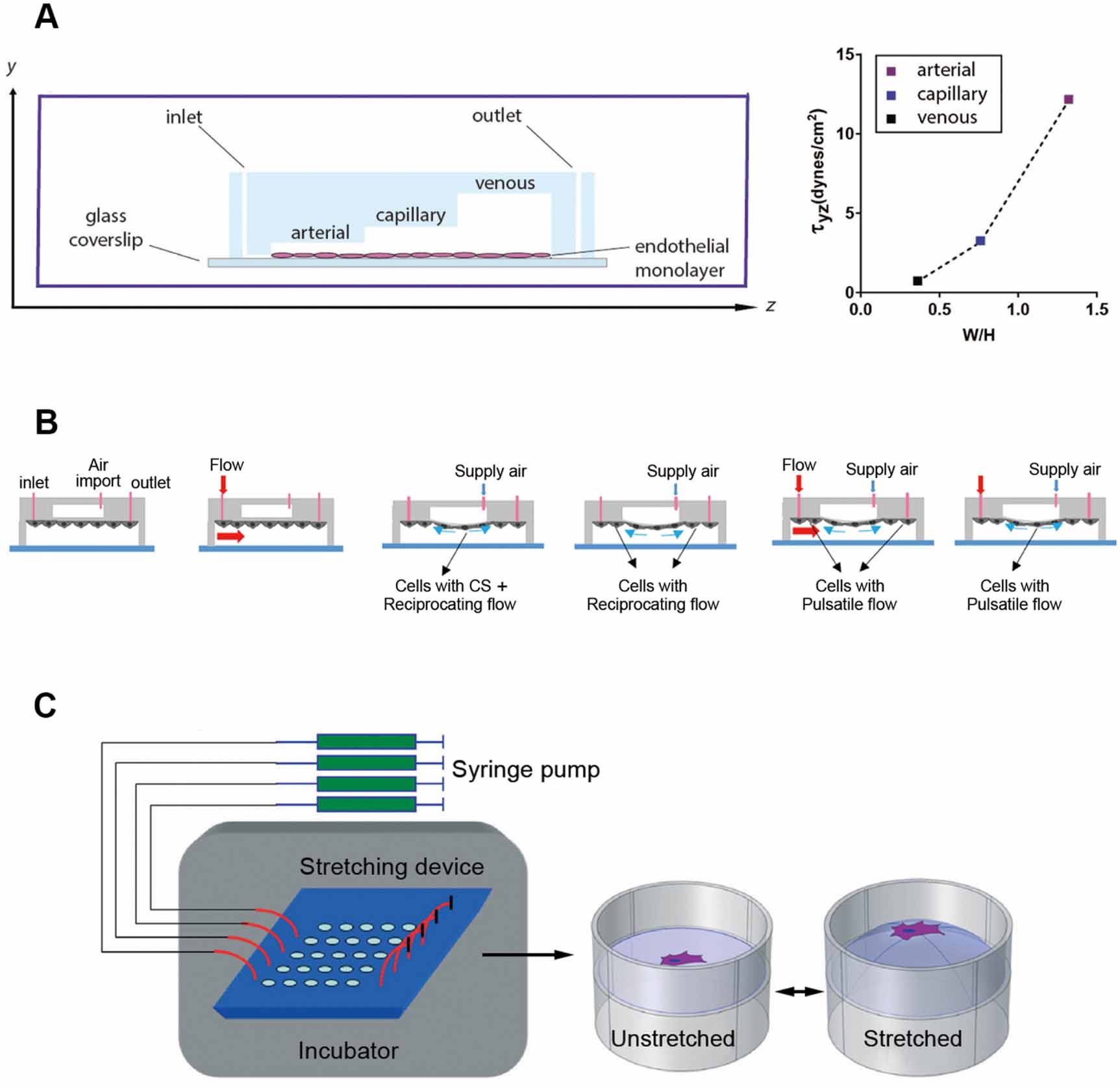 Current progress of in vitro vascular models on microfluidic chips ...