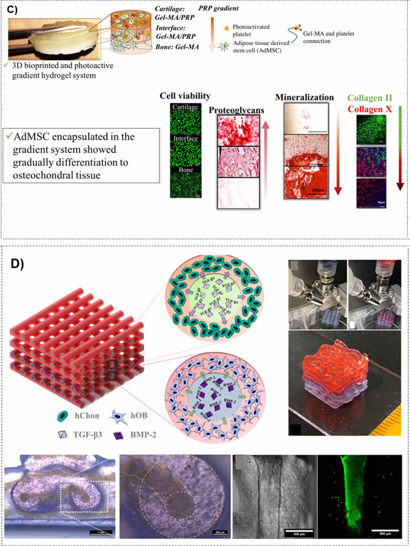 Bioinks for engineering gradient-based osteochondral and meniscal ...