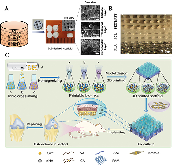A review of graded scaffolds made by additive manufacturing for tissue ...