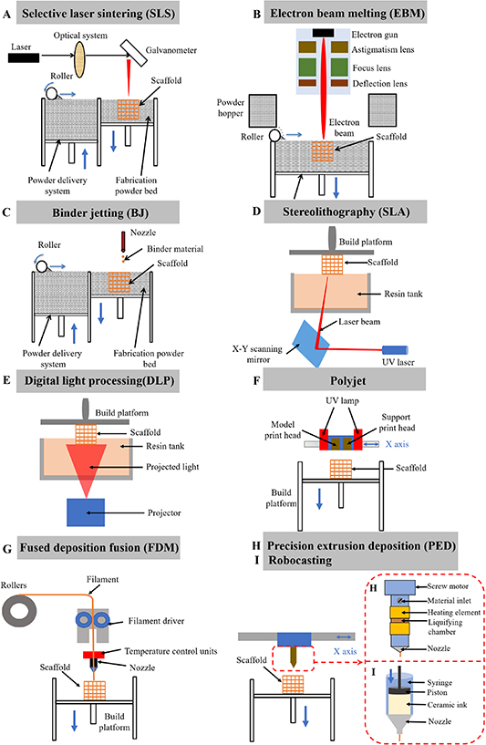 A review of graded scaffolds made by additive manufacturing for tissue ...