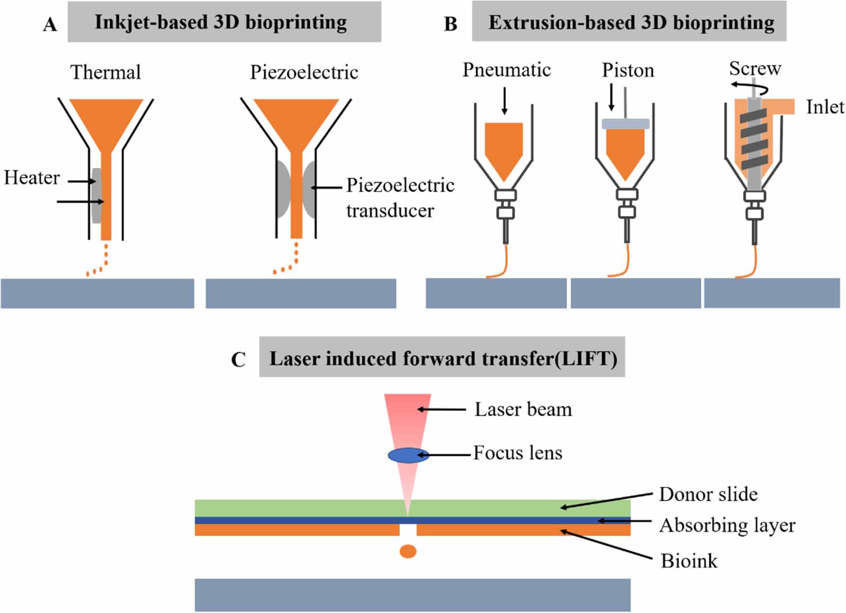 Scaffold Development A review of graded scaffolds made by additive manufacturing for tissue ...