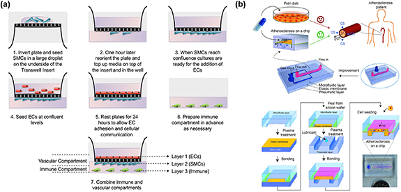3D bioprinting technology for modeling vascular diseases and its ...
