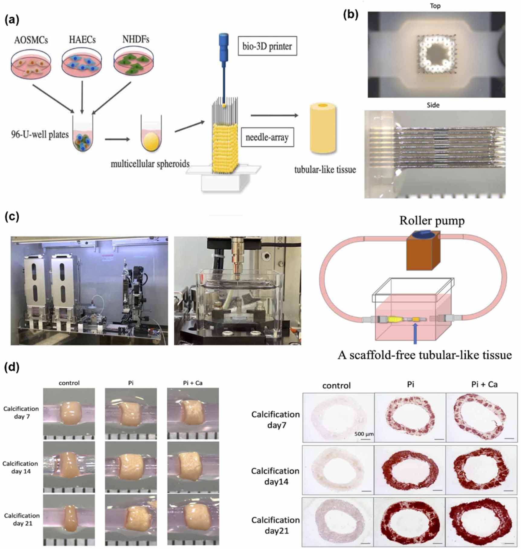 3D bioprinting technology for modeling vascular diseases and its ...